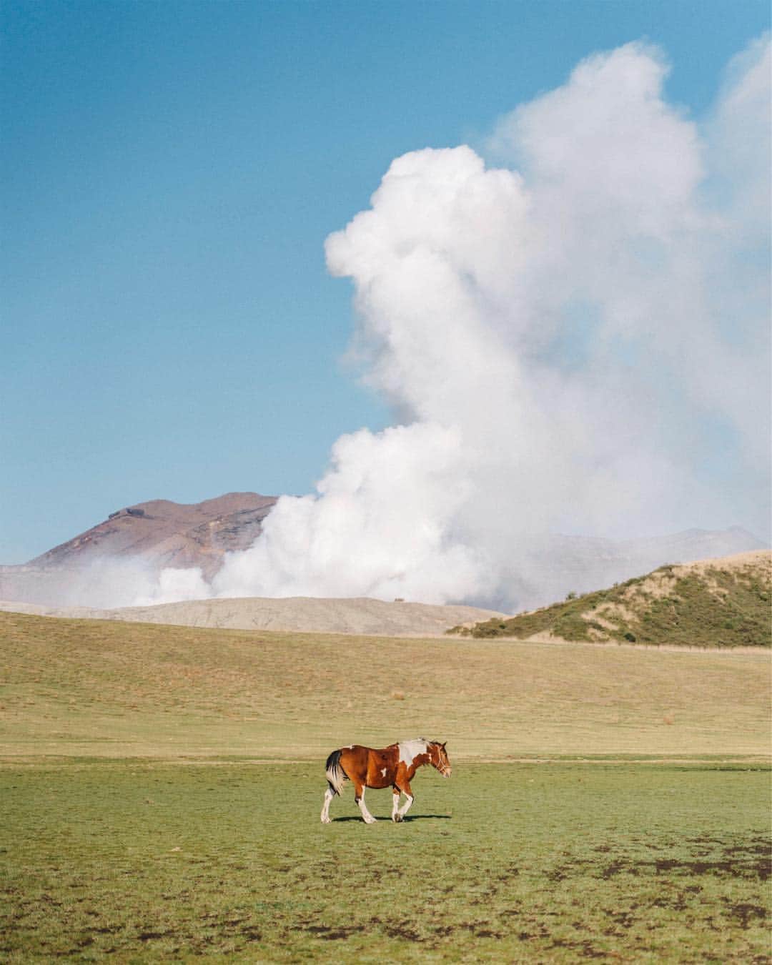 のインスタグラム：「🌋🐴 阿蘇はなんど訪れてもその雄大さに魅了される。」