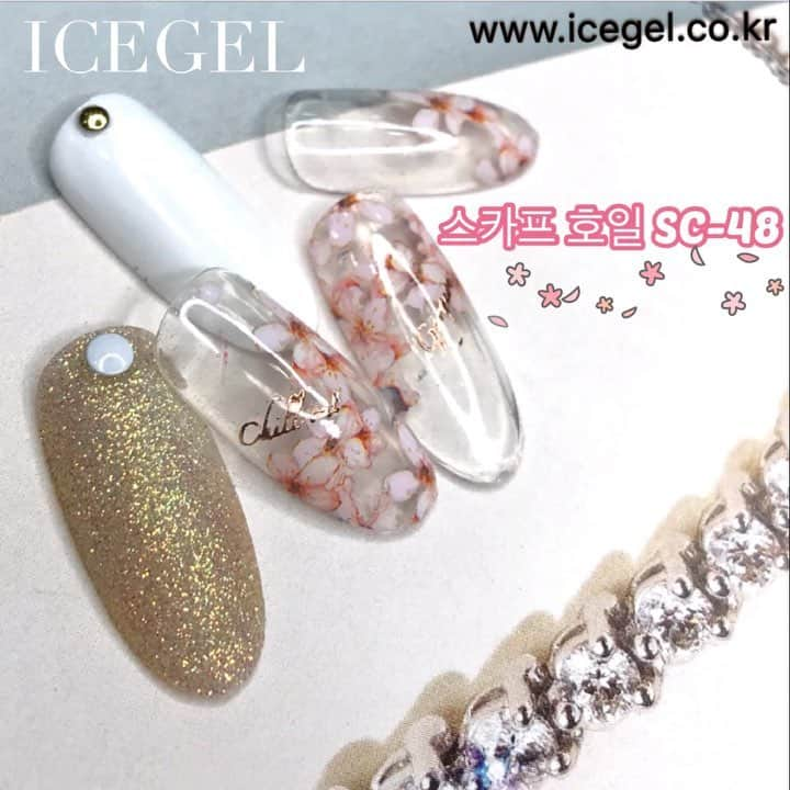 Icegel Nailのインスタグラム