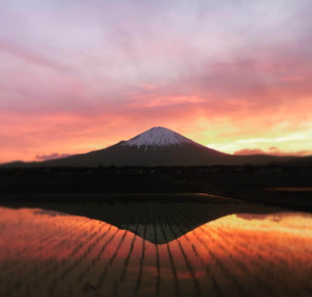 山本左近さんのインスタグラム写真 - (山本左近Instagram)「今日も、ありがとうございました！ また明日 #富士山 #逆さ富士」5月3日 18時50分 - sakon_yamamoto