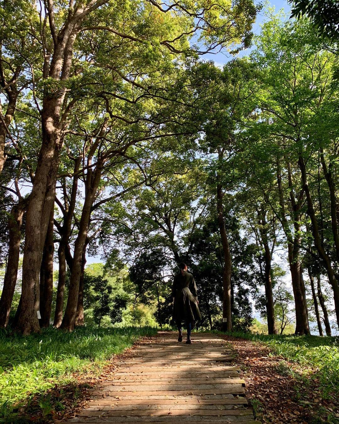 冨永愛さんのインスタグラム写真 - (冨永愛Instagram)「Forest 🌳 🐍🐞🌿🕊🍃🐝🌳 緑の香りでリフレッシュ  #ジーダボ #GW #冨永愛 #aitominaga #ウォーリーを探せ」5月3日 18時51分 - ai_tominaga_official