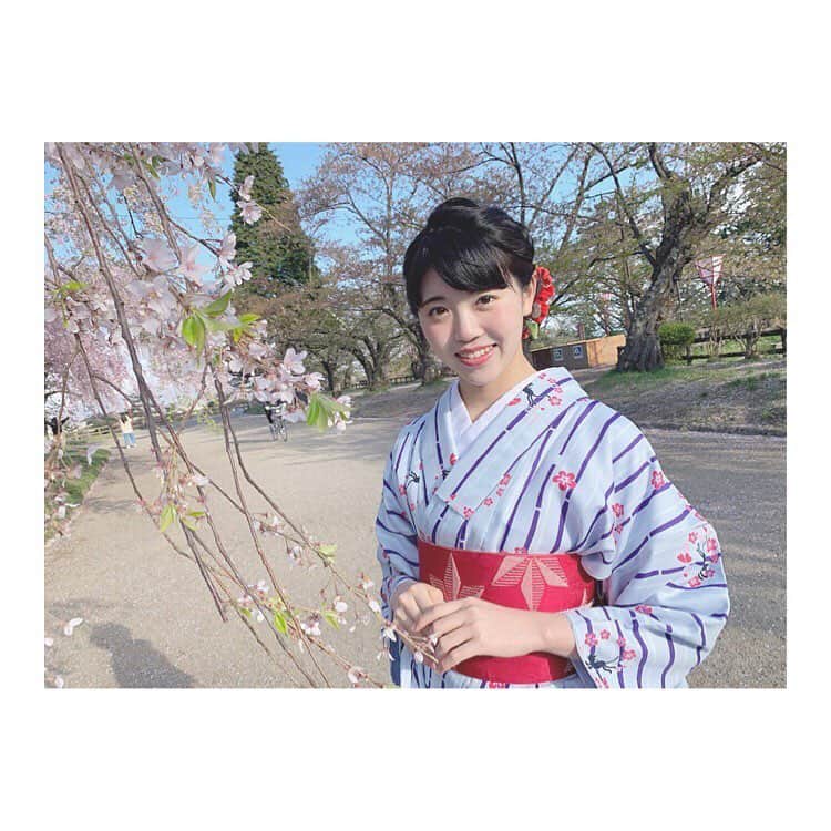 彩香さんのインスタグラム写真 - (彩香Instagram)「🌸👘 #kanamori さん #buzzhare さん #カナモリ #バズヘアー #101回目の桜 #弘前 #hirosaki #cherryblossom #kimono」5月3日 18時59分 - saika_ringomusume