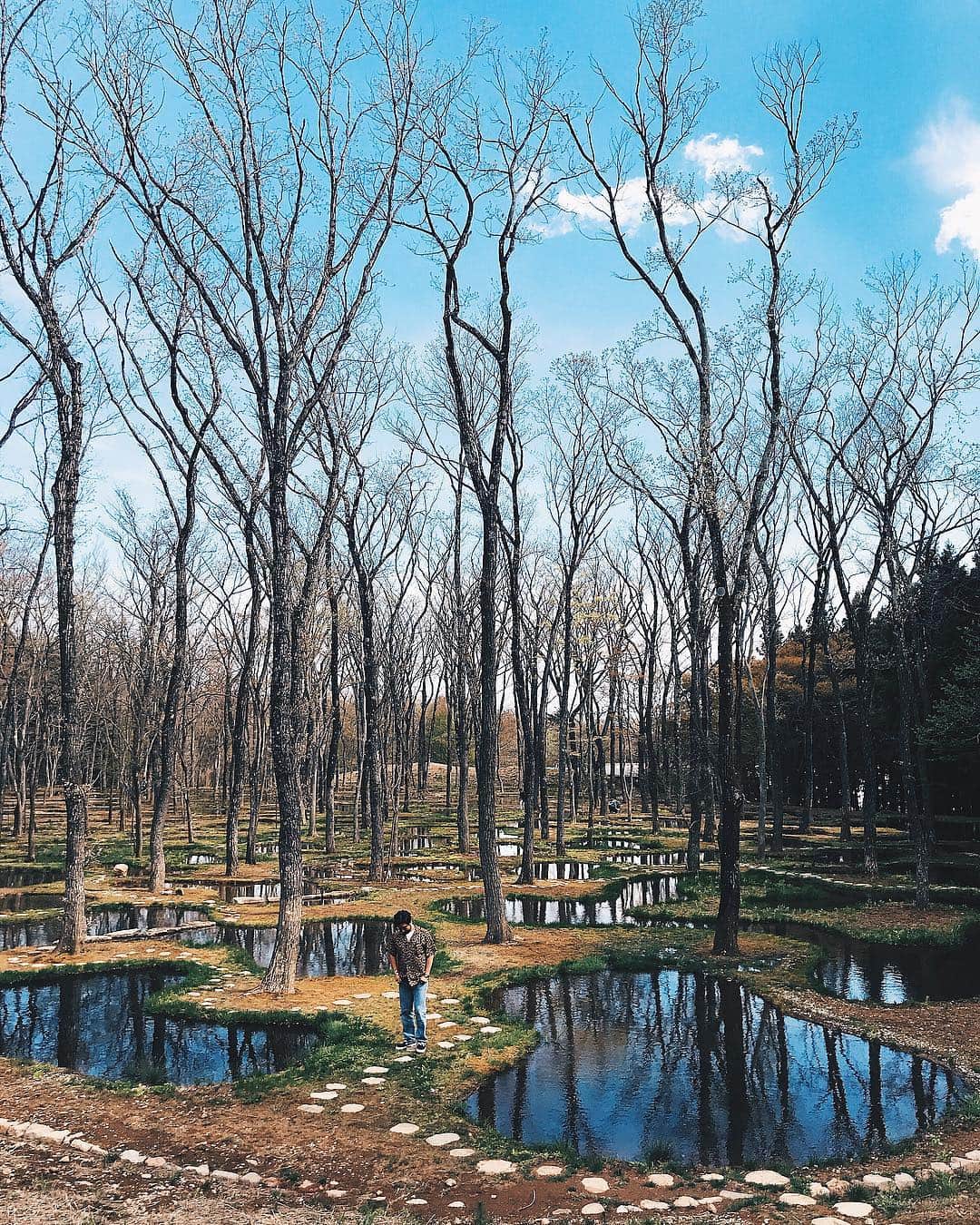 小塚源太さんのインスタグラム写真 - (小塚源太Instagram)「Art Biotop💧 #水庭 #watergarden #nasu #Tochigi」5月3日 19時09分 - untlim