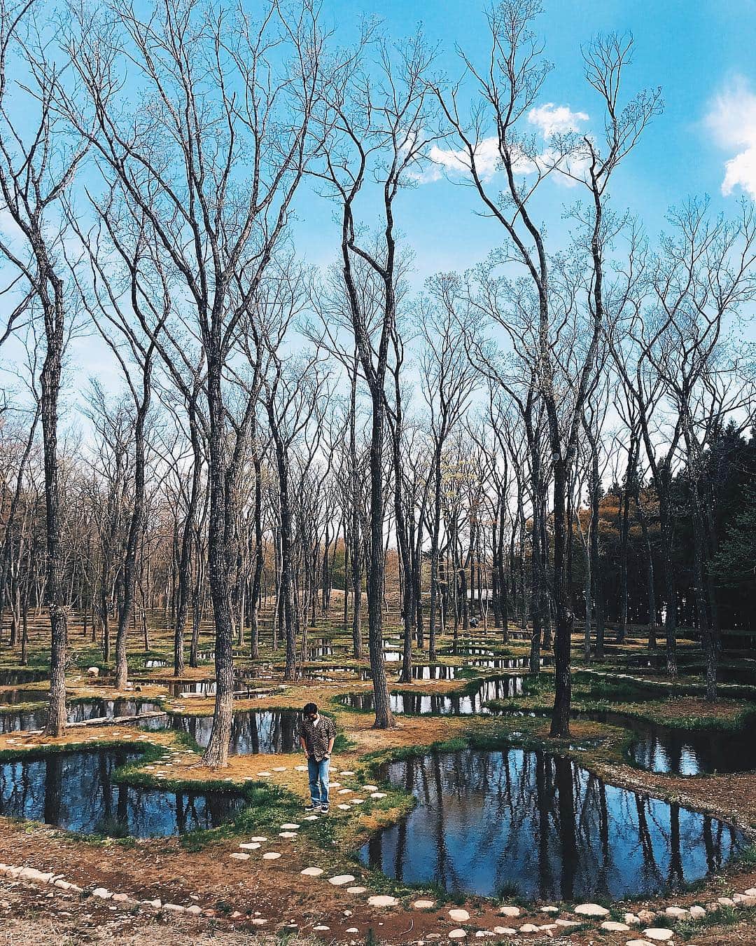小塚源太のインスタグラム：「Art Biotop💧 #水庭 #watergarden #nasu #Tochigi」