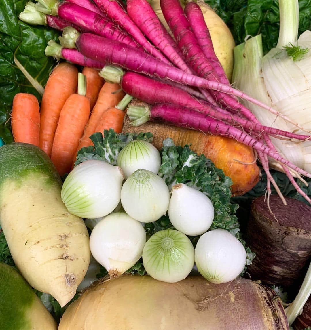 フリーマンズスポーティングクラブのグルメインスタ