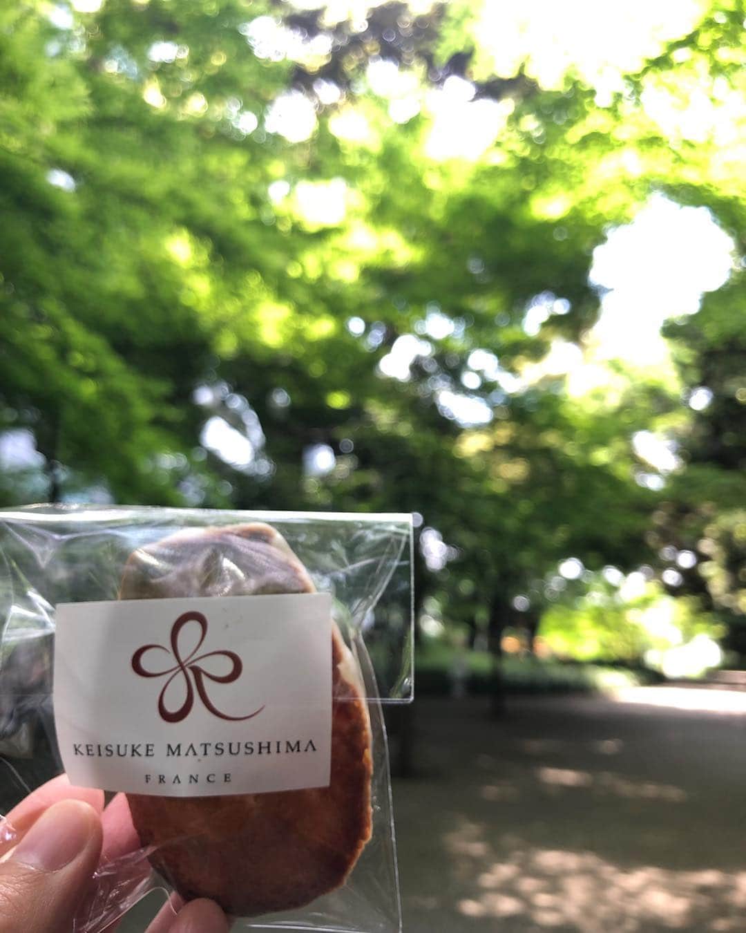 小谷津友里さんのインスタグラム写真 - (小谷津友里Instagram)「原宿のフレンチレストラン @keisukematsushimatokyo  でランチ♪ 世界的シェフ松嶋啓介氏のレストラン👨‍🍳 フランス ニース🇫🇷に本店を構え、 ニースを時差なく感じられる お店です✨ * * 通常のダイニングの営業に加えて 毎週金曜は カレーのカフェもオープンするよ🍛🇫🇷 塩なしカレー🍛 ココナッツカレー&ダールカレー 食材のうまみを引き出す調理法で、 とても優しい味♪ 余計な味付けもなく、健康的です‪⸜(*ˊᵕˋ* )⸝‬ 特にココナッツカレーの自然な甘みが好みでした♡ フランスらしくロゼワインとあわせて頂きました🍷 美味しかった～！ * * 原宿の明治通り沿い、 東郷神社の横 原宿警察署裏で 原宿の中心部にあるにもかかわらず、この大自然🌲 森に囲まれていて最高のロケーションです^_^💓 もう半袖でちょうどいい温かさね😍 * #keisukematsushima  #原宿ランチ#原宿レストラン#カレー#塩なし#harajuku #restaurant #curry #ヘルシーメニュー #ビーガン#松嶋啓介#france#ニース#ミシュラン#フレンチ#nice#原宿カフェ#cafe#マドレーヌ#自然#健康的な食事 #健康#ダイエット #キヌア #こやゆりフード#カフェ巡り#cafestagram」5月3日 19時28分 - yurikoyatsu