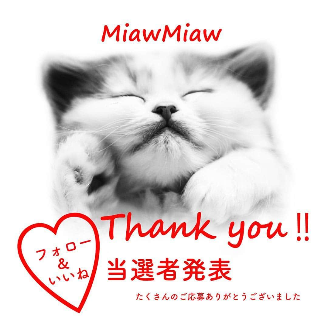 MiawMiawのインスタグラム