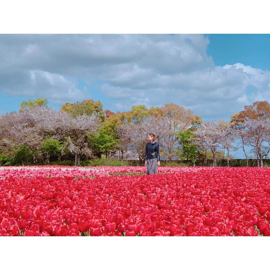 イレーネさんのインスタグラム写真 - (イレーネInstagram)「初めて行ったなばなの里 なにここ めちゃくちゃ綺麗ですね！  #キャッチネットワーク #katchネットワーク #ロケ #旅するカンジ #なばなの里 #三重県 #桑名市 #長島 #mie #japan #flowers #tulips #tulip #nabananosato」4月19日 10時48分 - irenedewald