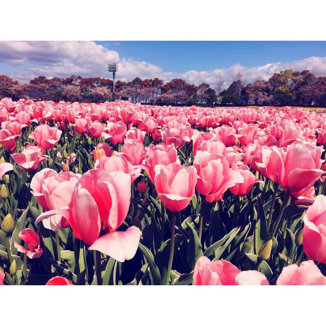 イレーネさんのインスタグラム写真 - (イレーネInstagram)「初めて行ったなばなの里 なにここ めちゃくちゃ綺麗ですね！  #キャッチネットワーク #katchネットワーク #ロケ #旅するカンジ #なばなの里 #三重県 #桑名市 #長島 #mie #japan #flowers #tulips #tulip #nabananosato」4月19日 10時48分 - irenedewald