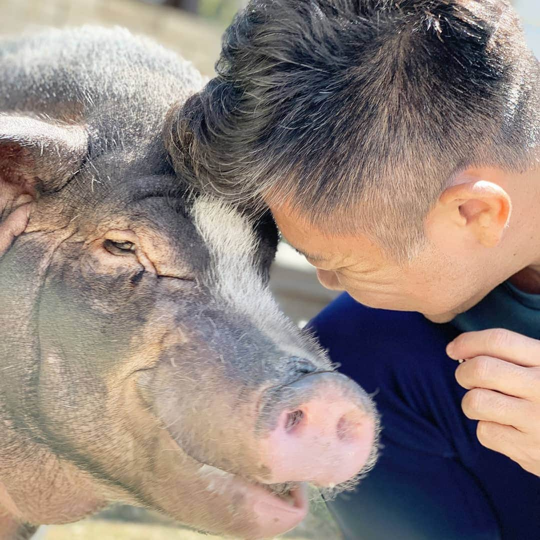 前園真聖さんのインスタグラム写真 - (前園真聖Instagram)「お話中🐽😊 #セブン  #ミニブタ #minipig #minipiglife  #前園真聖」4月19日 11時42分 - maezono_masakiyo