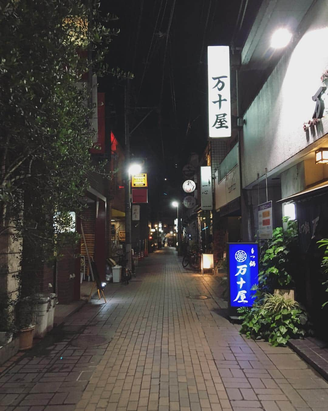 後藤正文さんのインスタグラム写真 - (後藤正文Instagram)「鹿児島の夜。」4月19日 11時51分 - gotch_akg