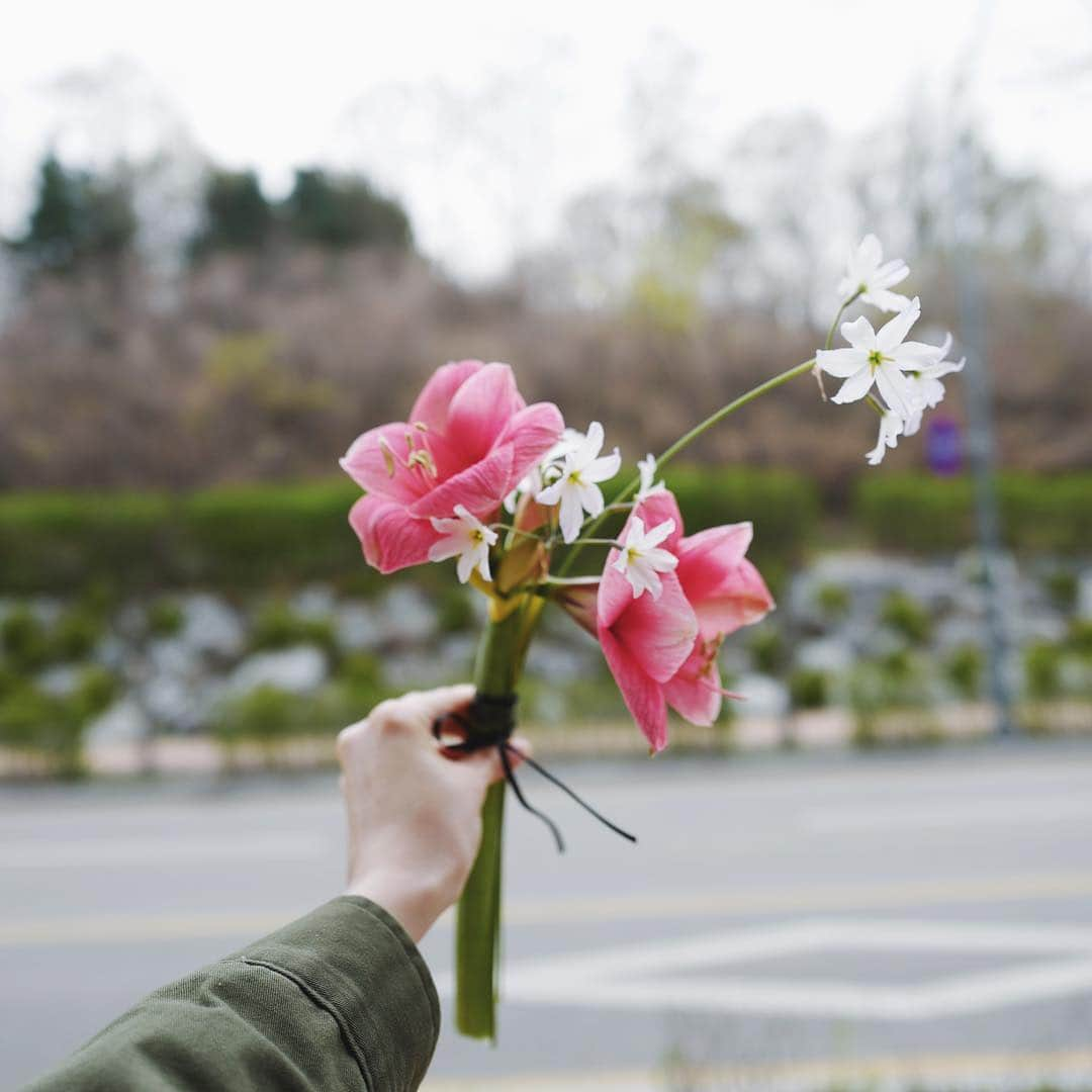 JF flower Shopさんのインスタグラム写真 - (JF flower ShopInstagram)「Jf flower shop. . . . .#2019jfflowershop #jfflowershop #flower #florist #floral #flowerlesson #koreanflorist #flowerstagram  #koreanflower  #웨딩부케 #플로리스트 #플로리스트수업 #핸드타이드  #범계플라워레슨 #꽃꽂이 #플라워레슨 #꽃꽂이수업 #안양꽃집 #범계꽃집 #평촌꽃집 #과천꽃집 #인덕원꽃집 #동편마을꽃집 #포일동꽃집 #내손동꽃집 #의왕꽃집#제이에프웨딩」4月19日 11時53分 - jfflowershop