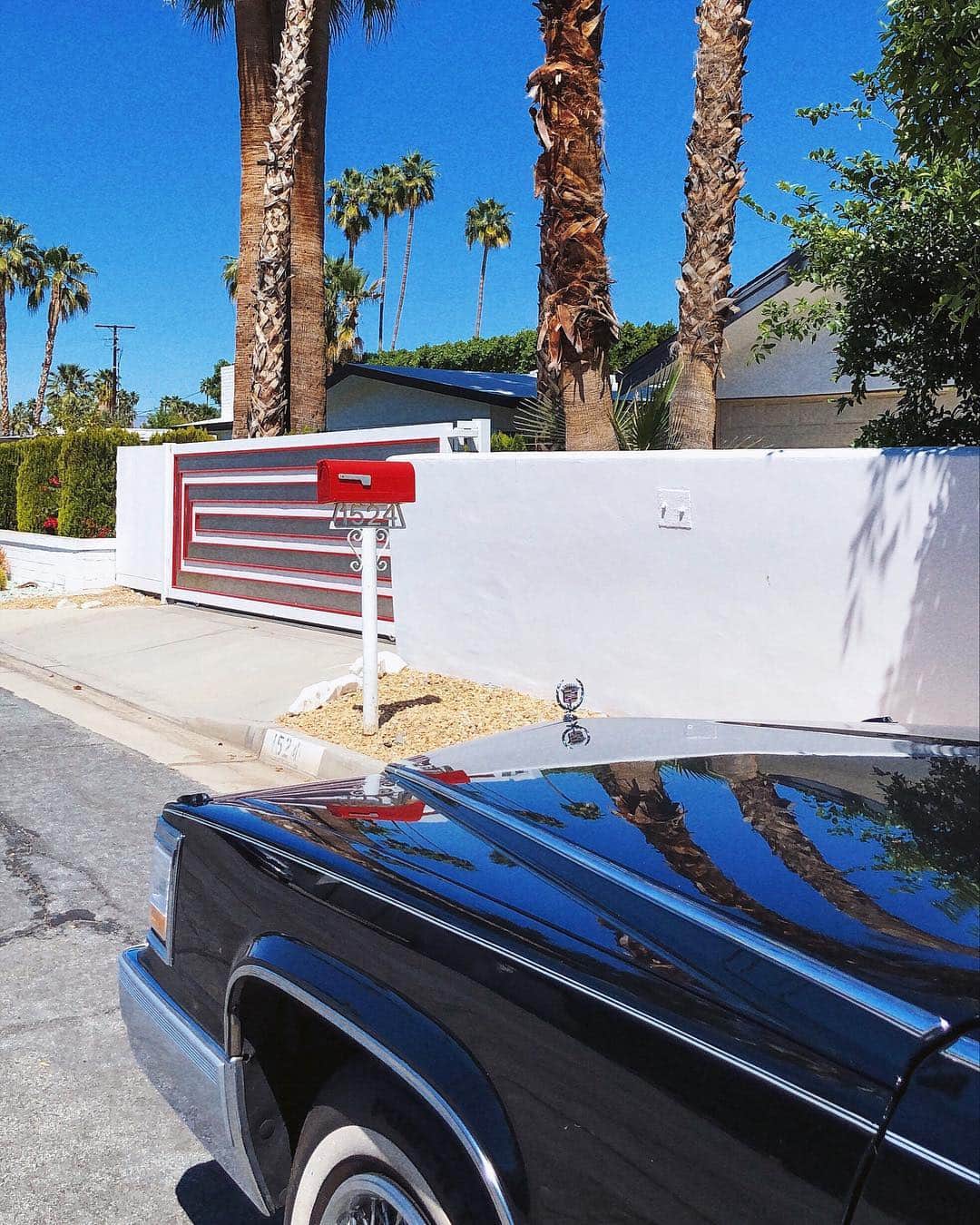 アンディー・トレスさんのインスタグラム写真 - (アンディー・トレスInstagram)「Who’s got a spare holiday home in Palm Springs for my man and I? We can be patient 🙋🏻‍♀️ #palmsprings #california . . . ¿Una casita en Palm Springs que les sobre? Mi novio y yo queremos una plis 😅🙏🏼🌴 #ootd #stylediaries #andytorres #drmartens #pinko #festivalfashion #fashion」4月19日 3時08分 - stylescrapbook