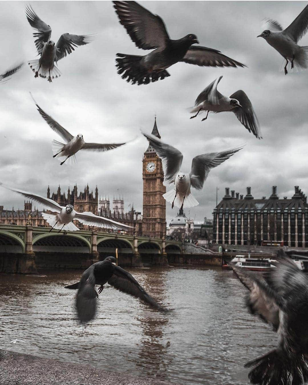 @LONDON | TAG #THISISLONDONさんのインスタグラム写真 - (@LONDON | TAG #THISISLONDONInstagram)「Heading into a 4-day #Easter weekend! Hurrah! 🎊 // Serving you up with a #ThrowbackThursday is @josh.perrett who has posted a brilliant reminder of what #BigBen looks like! Can’t wait for the unveil in 2021! 😱🔥😍 // #thisislondon #london #westminster #elizabethtower」4月19日 3時29分 - london