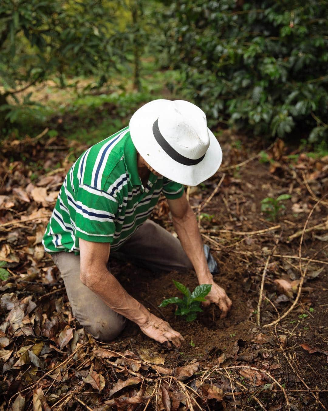 ローレン·ランドルフさんのインスタグラム写真 - (ローレン·ランドルフInstagram)「Some images I never shared from my time spent in Colombia documenting the sustainable coffee farming process for @nespressousa a couple years ago. Don Ruben and his wife welcomed us into their home and farm, an experience I’m forever thankful for. Best coffee I’ve ever sipped.」4月19日 4時58分 - laurenlemon