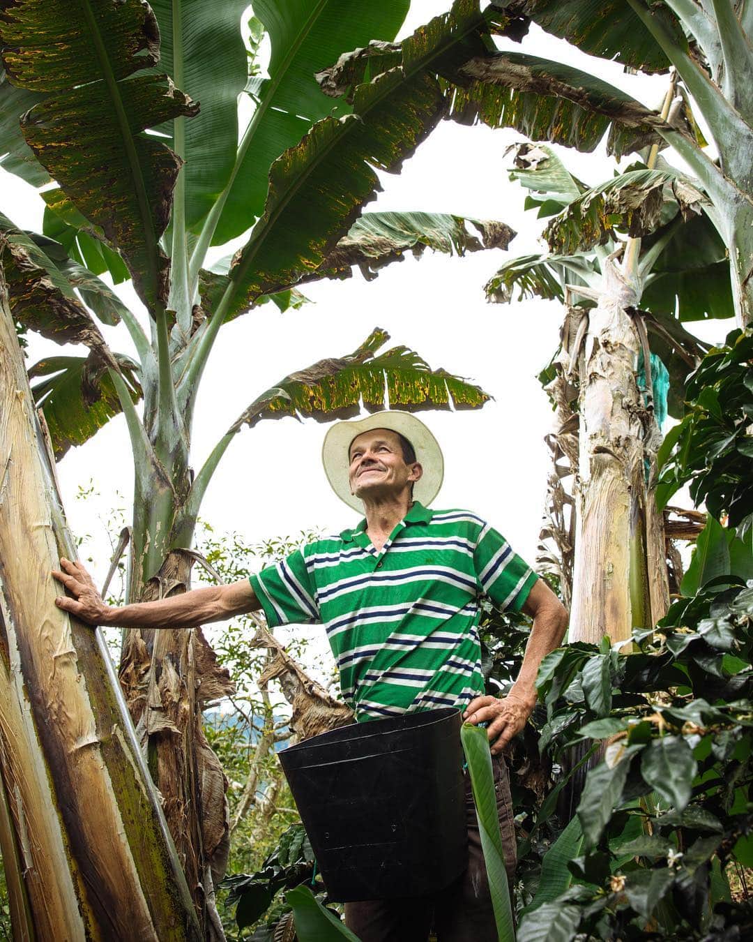 ローレン·ランドルフさんのインスタグラム写真 - (ローレン·ランドルフInstagram)「Some images I never shared from my time spent in Colombia documenting the sustainable coffee farming process for @nespressousa a couple years ago. Don Ruben and his wife welcomed us into their home and farm, an experience I’m forever thankful for. Best coffee I’ve ever sipped.」4月19日 4時58分 - laurenlemon