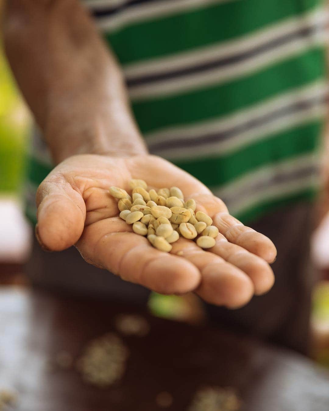 ローレン·ランドルフさんのインスタグラム写真 - (ローレン·ランドルフInstagram)「Some images I never shared from my time spent in Colombia documenting the sustainable coffee farming process for @nespressousa a couple years ago. Don Ruben and his wife welcomed us into their home and farm, an experience I’m forever thankful for. Best coffee I’ve ever sipped.」4月19日 4時58分 - laurenlemon