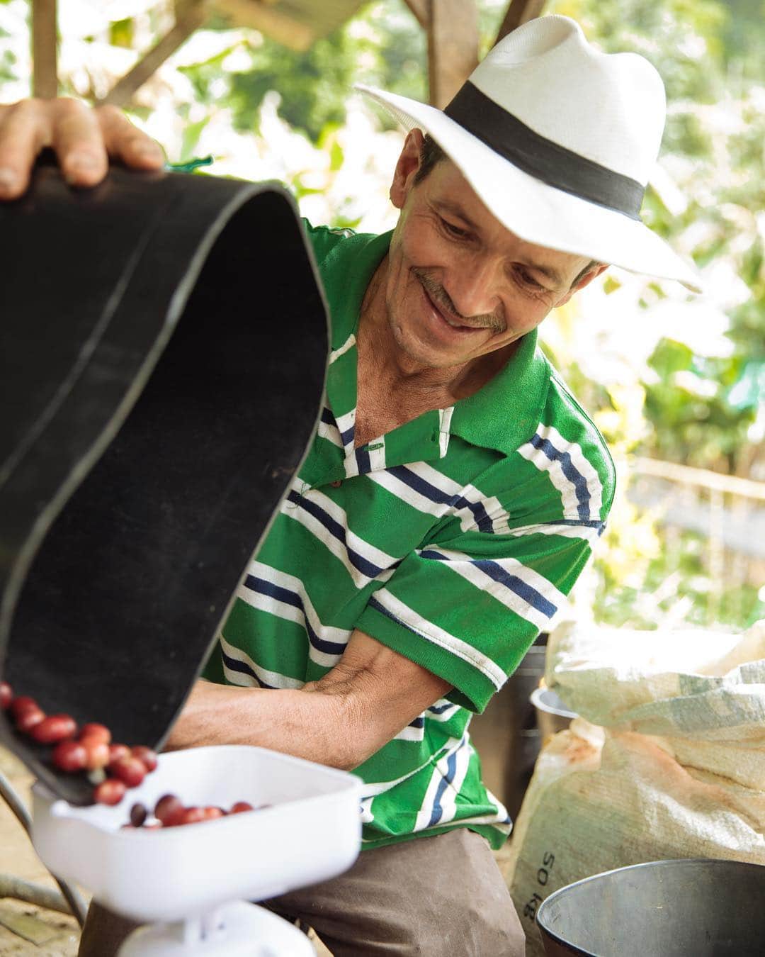 ローレン·ランドルフさんのインスタグラム写真 - (ローレン·ランドルフInstagram)「Some images I never shared from my time spent in Colombia documenting the sustainable coffee farming process for @nespressousa a couple years ago. Don Ruben and his wife welcomed us into their home and farm, an experience I’m forever thankful for. Best coffee I’ve ever sipped.」4月19日 4時58分 - laurenlemon