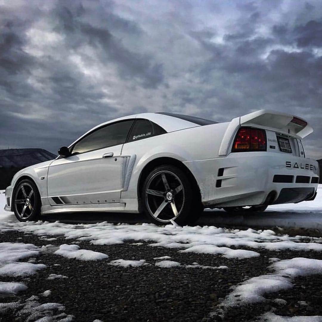 CarsWithoutLimitsさんのインスタグラム写真 - (CarsWithoutLimitsInstagram)「I wish Toronto had more of these beauties @gr8white_s281 ☠️ Photo @gr8white_s281  #CarsWithoutLimits #Ford #Mustang #Saleen」4月19日 5時57分 - carswithoutlimits