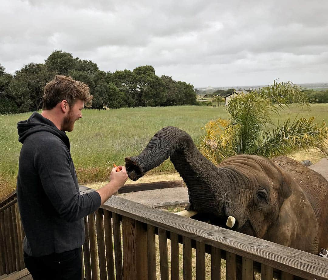 デレック・テラーさんのインスタグラム写真 - (デレック・テラーInstagram)「#tbt to the time this elephant brought breakfast in bed.」4月19日 5時59分 - derektheler