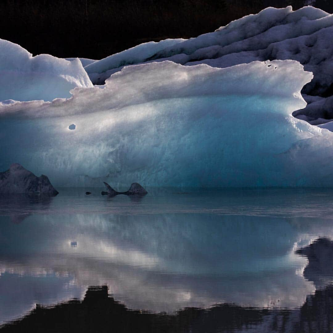 ニューヨーク・タイムズさんのインスタグラム写真 - (ニューヨーク・タイムズInstagram)「It’s “break-up” season in Alaska — the end of safe travel on ice. This year, break-up has come too soon, creating new, sometimes deadly hazards and a host of practical problems. Alaskans depend on hard-frozen winters for transportation, and people traveling on frozen rivers by ATV or snowmobile are falling through; some have died. “The river is our highway,” said Mark Leary, who’s part of a team that builds an ice road each winter. “It’s everything to us.” But climate change is warming #Alaska faster than any other state. Visit the link in our profile to read more. @fremson shot this photo.」4月19日 6時58分 - nytimes