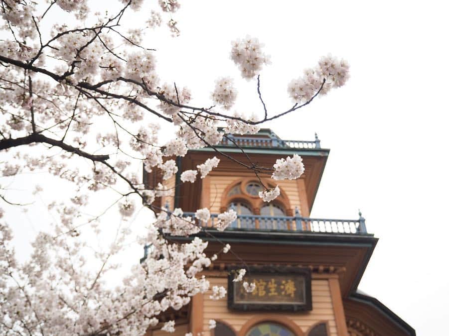 菅原智郁さんのインスタグラム写真 - (菅原智郁Instagram)「先日おやすみだったので、満開の #霞城公園 へ行ってきました🌸 山形にもやっとお花見の時期が来ました✨ この日は曇り空だったので、桜と空が一体化してますが…笑 . 前回前々回と被写体側の写真をあげていましたが…数ヶ月前にミラーレス一眼を買って、最近は写真を撮るのが趣味になってます📸 .  まだまだカメラを使いこなせていませんが、いつもはオートで撮るところを、今回はマニュアルで撮ってみました✨ 日々訓練です💪 . 平日にもかかわらず、会場には多くの人がお花見を楽しんでいましたよ☺️🌸 春はいいですねぇ .  フォロワー980人のみなさまありがとうございます！！ あと少しで1000人です～楽しみ .  みなさんの地域の桜はどんな感じですか？？ . #山形 #山形市 #yamagata #東北 #行くぜ東北 #お花見 #ミラーレス一眼 #olympuspen #photography #撮影 #桜 #🌸 #お花見 #菅原智郁」4月19日 8時31分 - tomotomokaaaa22