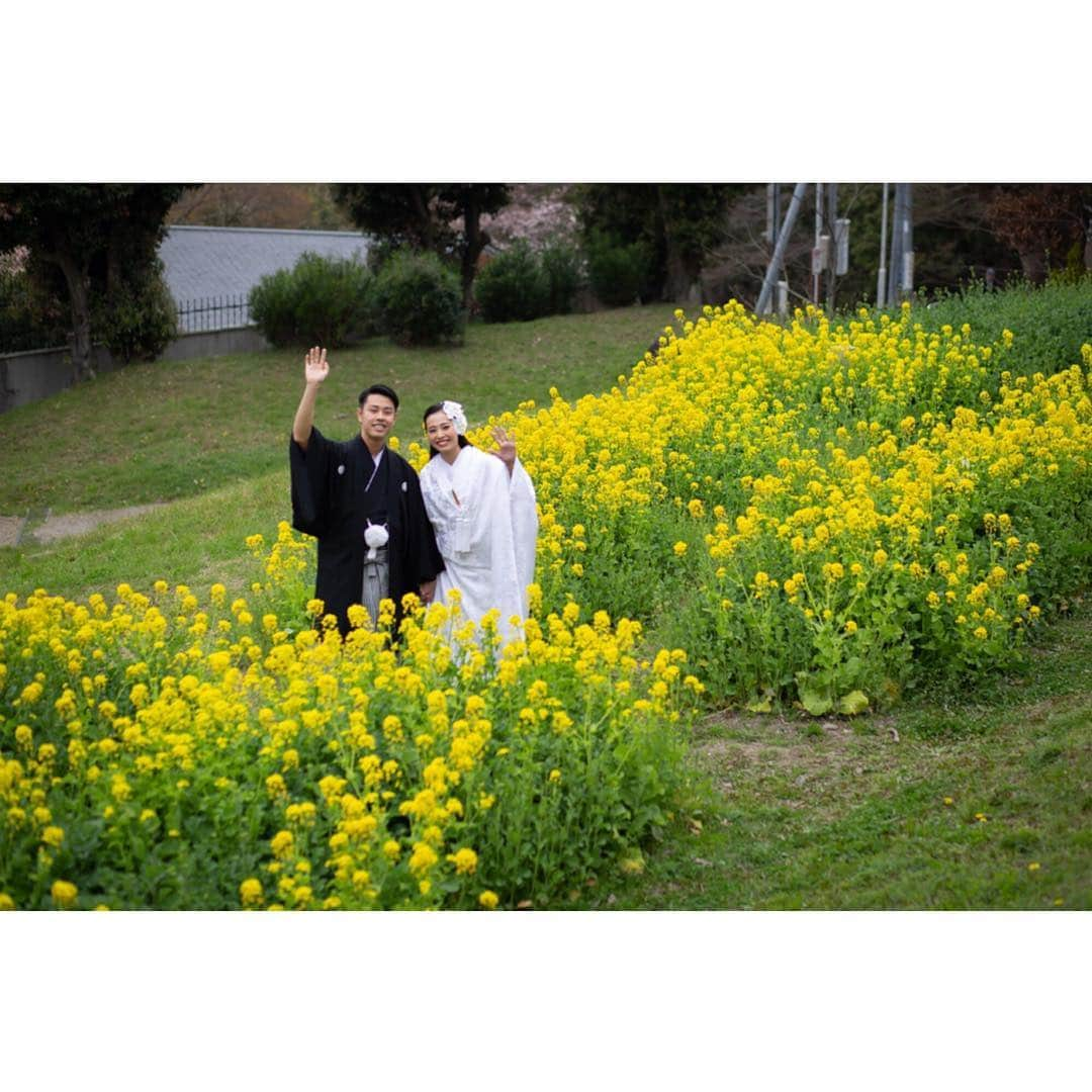 和婚スタイルさんのインスタグラム写真 - (和婚スタイルInstagram)「. 季節を感じる花と残す写真は 毎年同じ時期が来るといつでも思い出が蘇っていいですね。  @wakonstyle  #和婚スタイル  #神社婚 #和婚 #和装 #色打掛  #白無垢 #綿帽子 #ウェディングフォト #ブライダルフォト #ロケーションフォト #前撮り #和装ヘアスタイル #プレ花嫁 #神前式 #関西花嫁 #関東花嫁 #九州花嫁 #神前式挙式 #結婚式 #ウェディング #2019春婚 #2019夏婚 #2019秋婚 #2019冬婚 #日本中のプレ花嫁さんと繋がりたい #weddingphotography #和装ヘアスタイル #桜フォト #菜の花フォト」4月19日 8時41分 - wakonstyle