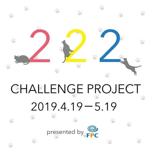 Alain アランさんのインスタグラム写真 - (Alain アランInstagram)「Hello! I become a supporter of the “222 Challenge  Project”. * NyanCon で新しいプロジェクトが4/19からスタート。今回のミッションは1ヶ月で愛猫写真22,200枚🐾。ミッション達成で「かながわペットのいのち基金」へ22,200円ご寄付だそう。  プロジェクト名は222 CHALLENGE PROJECT。アランもそのサポートメンバー（サポーニャン）のスタートメンバーに。頑張るにゃ！ 詳しくは @nyancon01 からwebをご覧くださいね！  #nyancon01  #222サポーニャン」4月19日 8時51分 - alain_cat