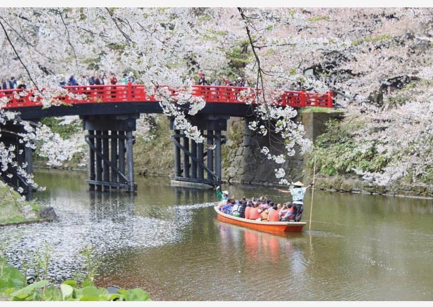 金子エミさんのインスタグラム写真 - (金子エミInstagram)「桜はまだ終わっていない。一度は青森に行ってみたい場所があります🌸「 #弘前さくらまつり 」が、2019年4月20日(土)から5月6日(月)まで、#青森県弘前市 の #弘前公園 で開催。」4月19日 9時06分 - emikaneko1114
