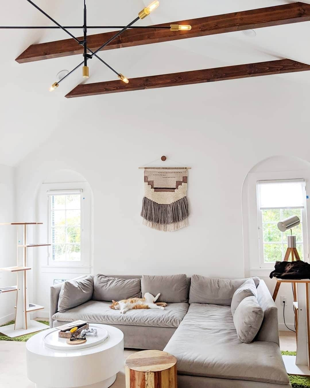 west elmさんのインスタグラム写真 - (west elmInstagram)「Clearly the cats' room. 🐱 😻 📸: @tsientong  This #westelm Shelter Sectional Sofa is upholstered in Dove Grey Performance Velvet for a perfectly pet-friendly room!  #catcondo #weekendready #napsonnaps #petsofwestelm #vaultedceilings #livingroomgoals #thatceilingtho」4月19日 9時17分 - westelm