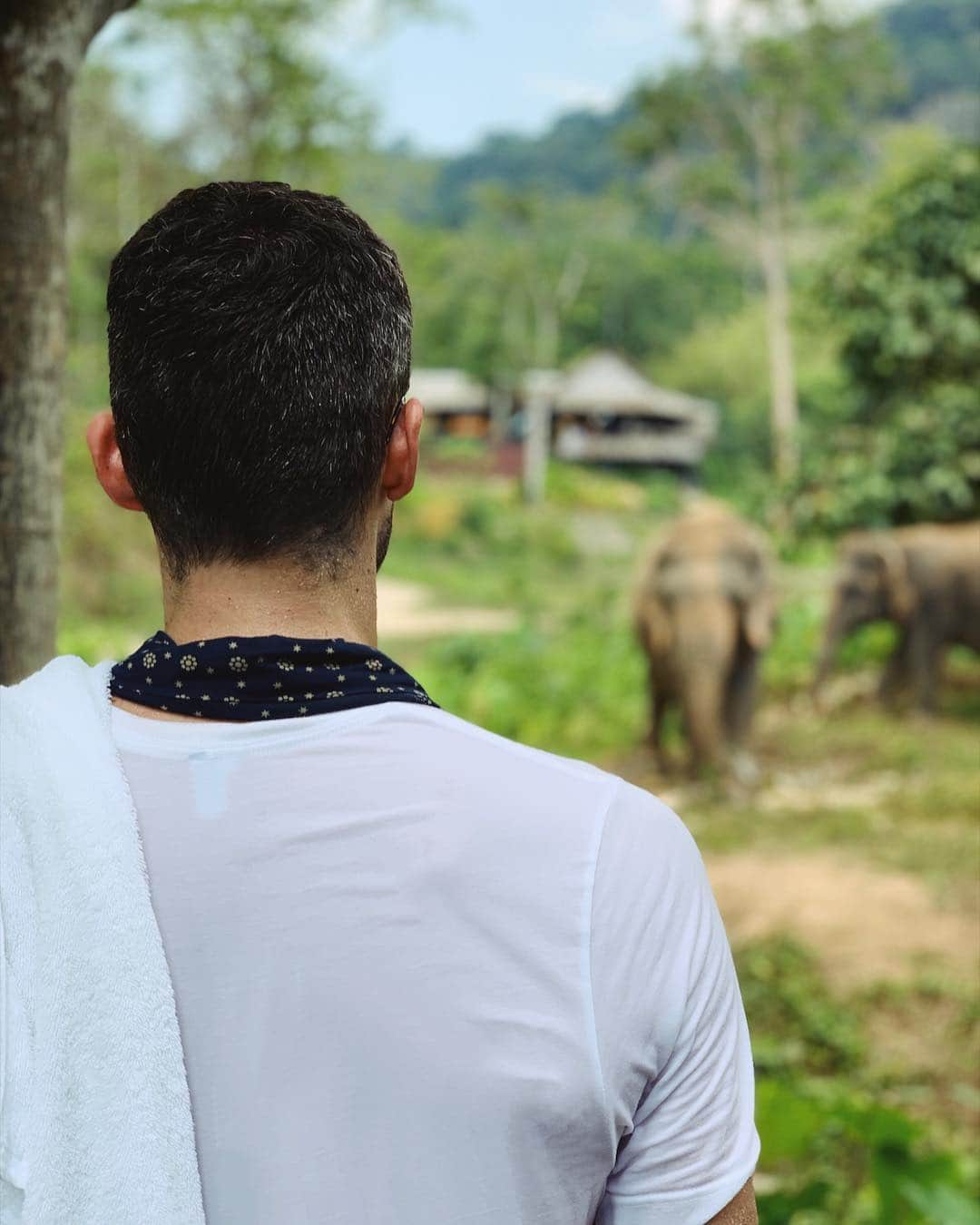 ケビン・ラブさんのインスタグラム写真 - (ケビン・ラブInstagram)「Yesterday morning at the @phuketelephantsanctuary. Got to be in the presence of these holy animals while they received therapy+treatment close to their natural habitat. 🐘🐘🐘」4月19日 9時38分 - kevinlove