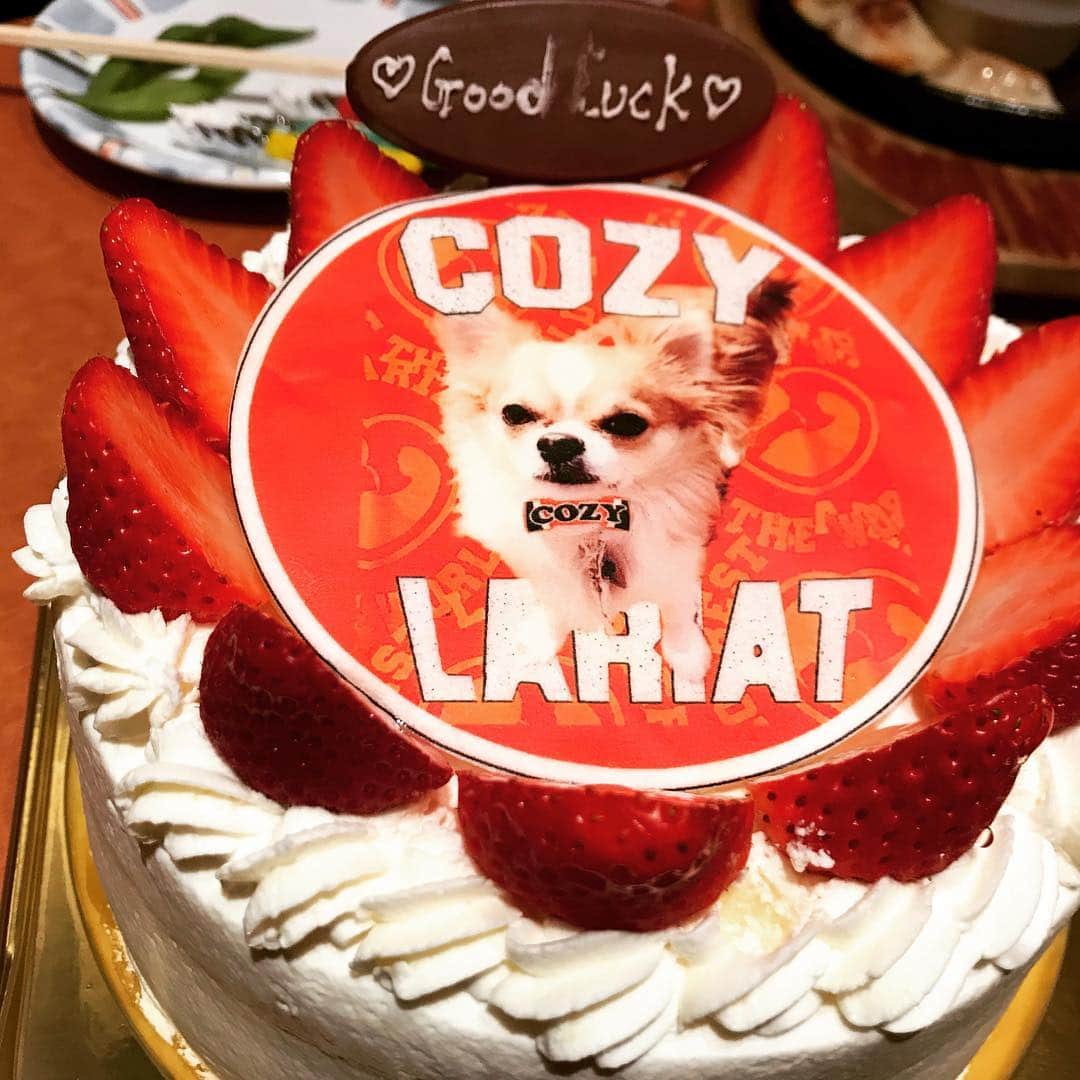 小島聡さんのインスタグラム写真 - (小島聡Instagram)「おはようございます。  巡業真っ只中。今日は試合がオフで、移動日です。  昨夜の食事会でラッキーの絵を施したケーキを頂きました。  いつもたくさんの方の心遣いに励まされています。  ありがとう！  #小島聡  #チワワのラッキー  #新日本プロレス」4月19日 9時50分 - cozy_lariat