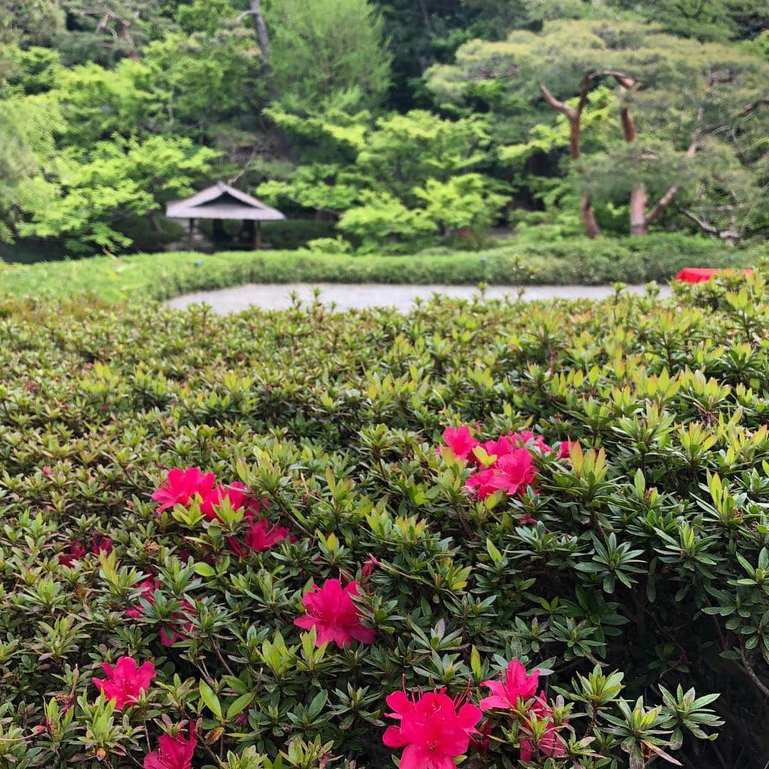 八芳園のインスタグラム