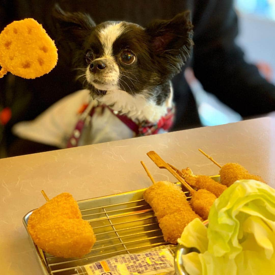 串カツ田中のインスタグラム