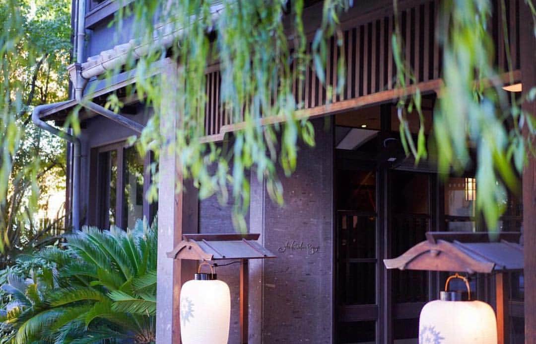 のインスタグラム：「#thekawabunnagoya #italianfood #restaurant #ランチ#名古屋」