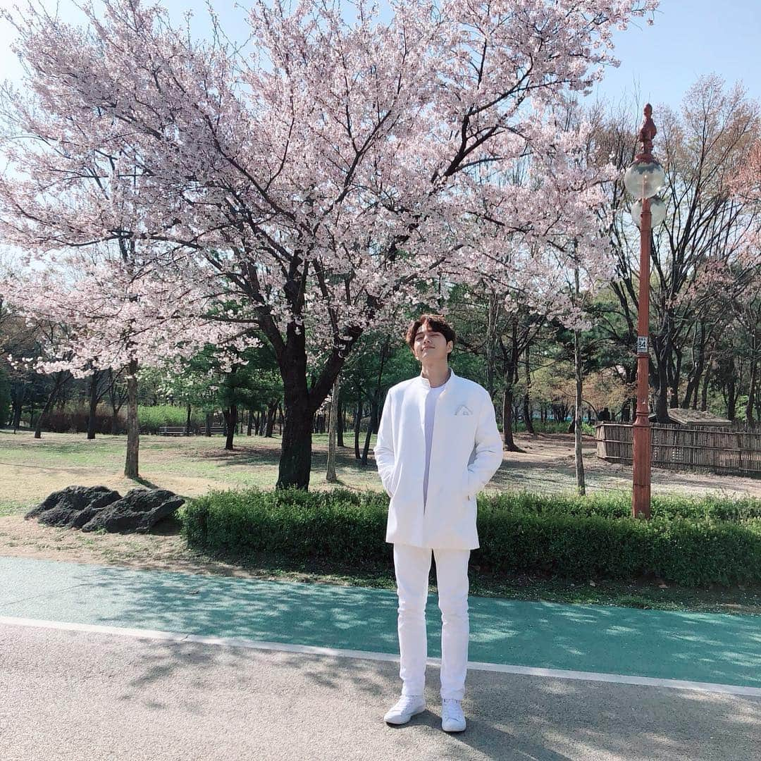 エルさんのインスタグラム写真 - (エルInstagram)「#단하나의사랑 #김단 #김명수 입니다. 벚꽃 예뻐요.」4月19日 10時30分 - kim_msl