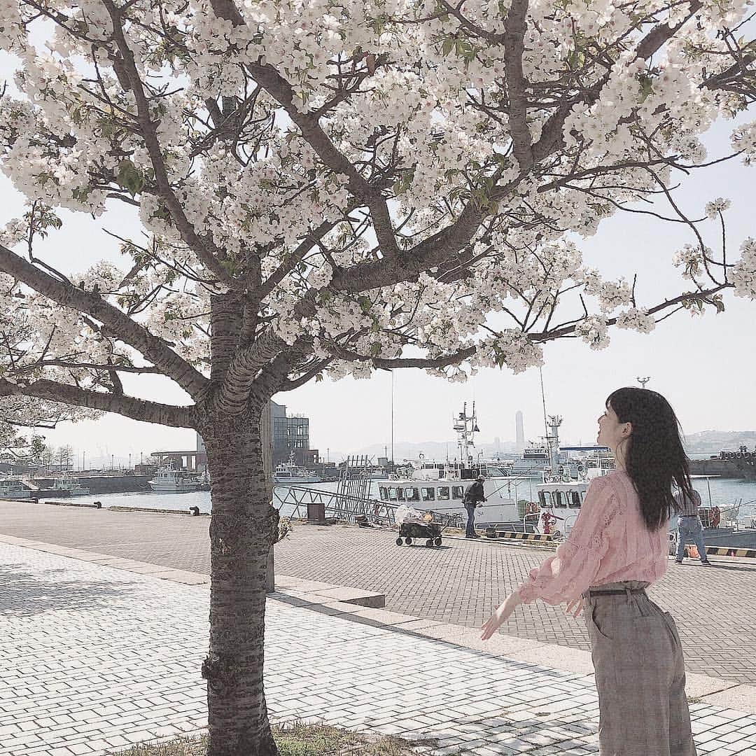 浅井七海さんのインスタグラム写真 - (浅井七海Instagram)「*.﻿ ﻿ 最近桜散ってきて﻿ 緑色の木になってきましたね~~~﻿ ﻿ 季節が変わっていく感じがします🥺﻿ ﻿ ･﻿ #門司港 #桜 #春」4月19日 21時27分 - naamin48_