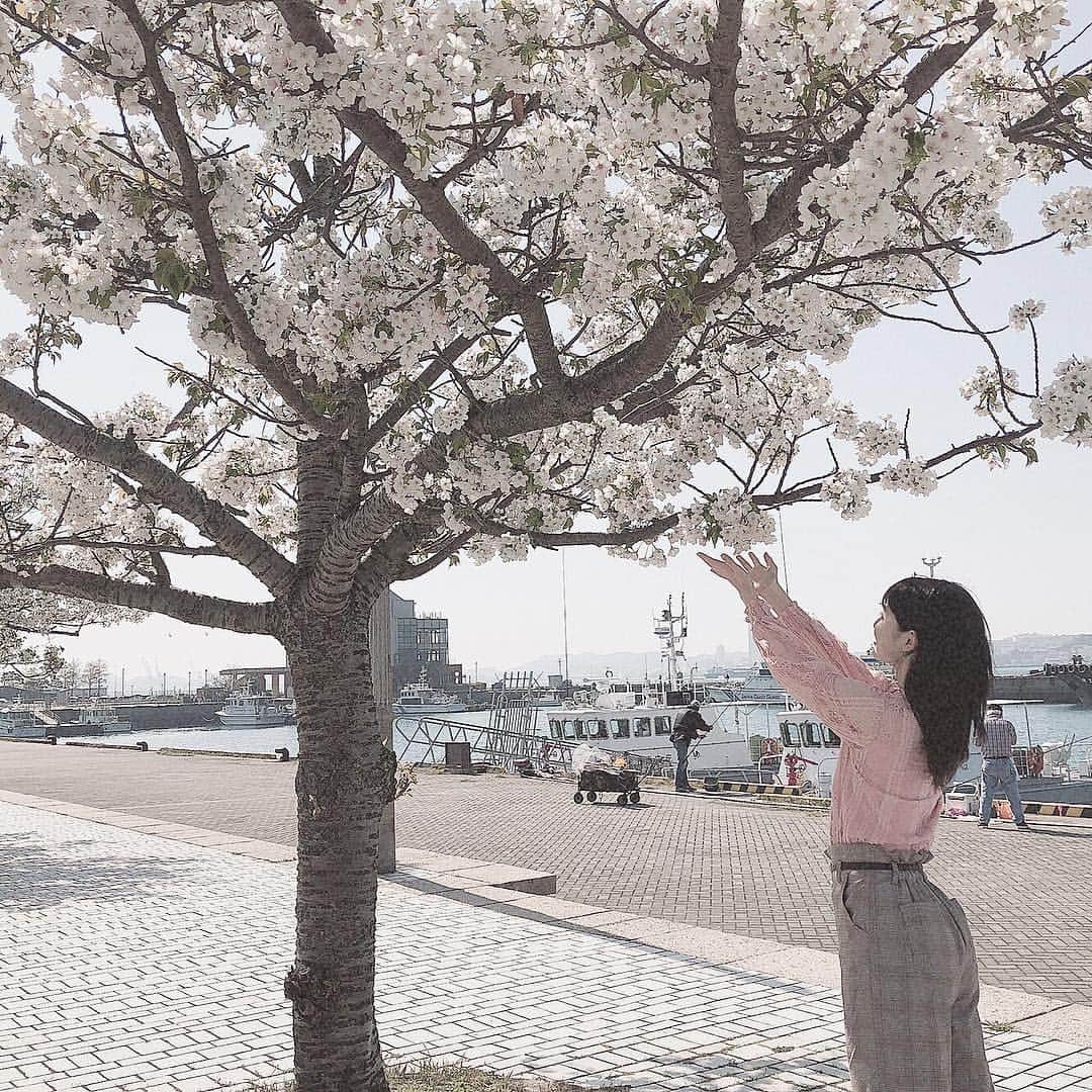 浅井七海さんのインスタグラム写真 - (浅井七海Instagram)「*.﻿ ﻿ 最近桜散ってきて﻿ 緑色の木になってきましたね~~~﻿ ﻿ 季節が変わっていく感じがします🥺﻿ ﻿ ･﻿ #門司港 #桜 #春」4月19日 21時27分 - naamin48_