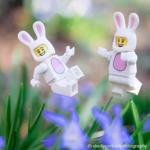 LEGOさんのインスタグラム写真 - (LEGOInstagram)「We wish you all a hoppy Easter! 🐇💐🐣 Credit to the amazing @shellycorbettphotography 📸」4月19日 20時00分 - lego