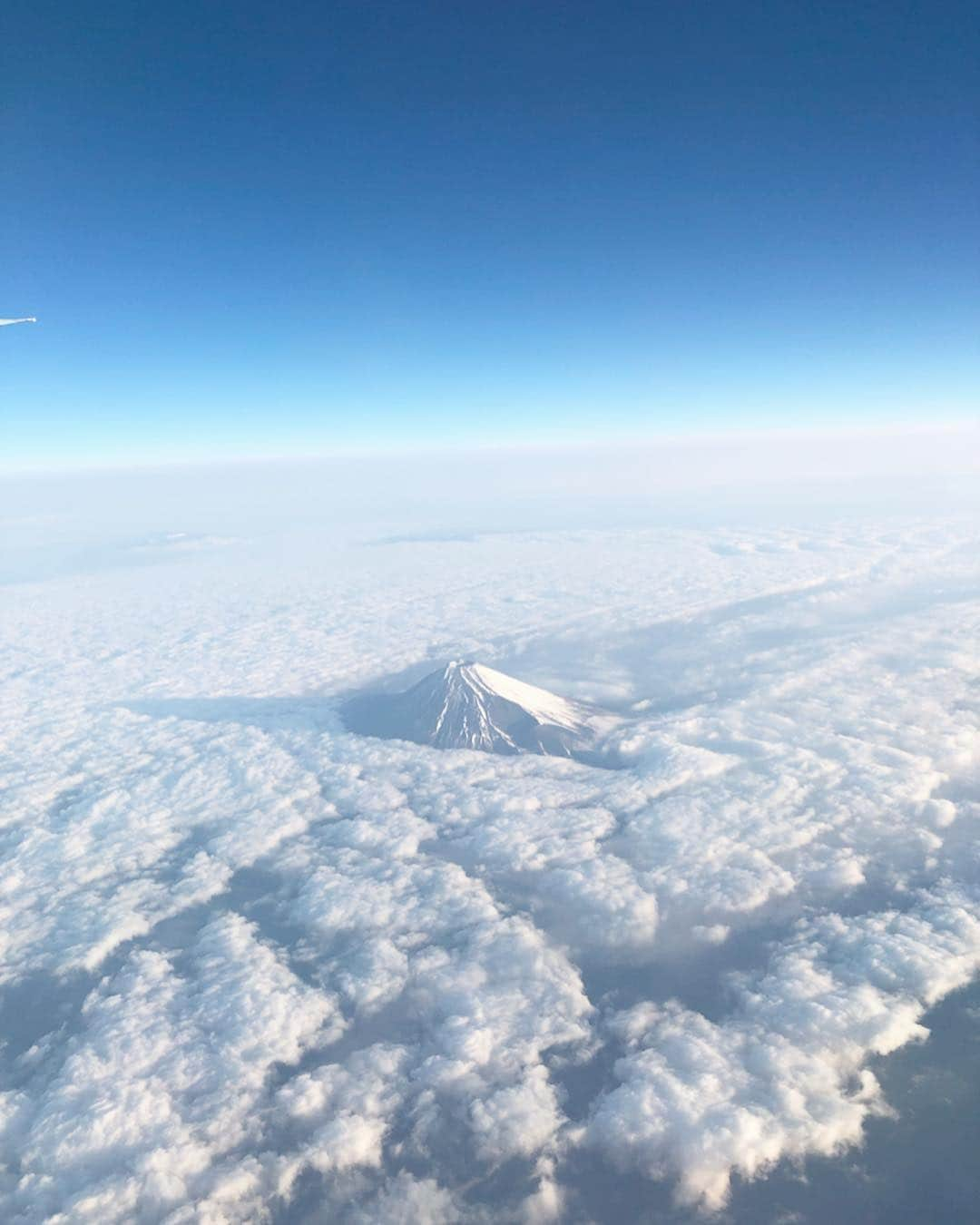 福地桃子のインスタグラム