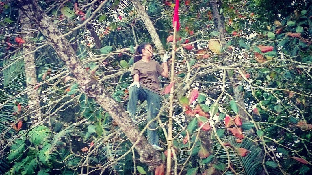 遊海 Yuumiさんのインスタグラム写真 - (遊海 YuumiInstagram)「Jungle girl on mission in Costa Rica 💪 明日土曜日19時 天才！志村どうぶつ園 見てね❤️ ☀️ #jaguarrescuecenter #costarica #loveanimals #peace #加藤ゆうみ  #絶滅0部 #sloth #wildlife #rescue #天才志村どうぶつ園」4月19日 20時25分 - yuumi_kato