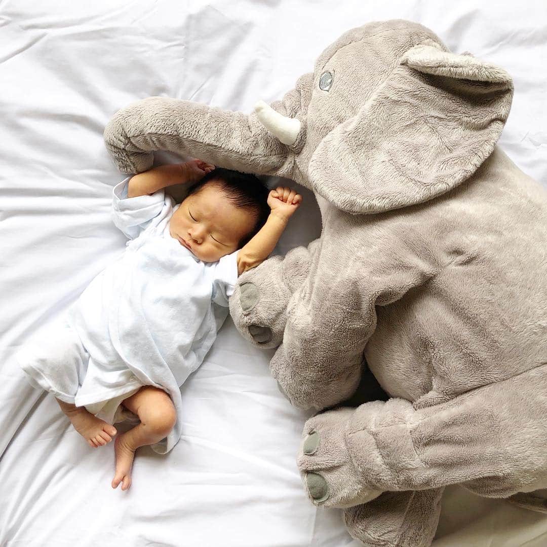 ᴋᴀɴᴀᴋöさんのインスタグラム写真 - (ᴋᴀɴᴀᴋöInstagram)「0 years old last day🌿 今日は #0歳最後の日 👶🏻💕 * 3人目は、本当に ただただ 可愛くって…❤️ * ツインズ君も、ぐーんと成長してくれた1年でした👦🏻👦🏻 * もうちょっと 赤ちゃんのままでいて欲しくて… 少し さみしいけど…😗✨ これからも たくさん成長みせてね❤️ * #0歳 の👶🏻 見返すと…本当 大きくなったなぁ☺️💕 #明日で1歳 #生後11ヶ月#生後364日#0歳最後#成長記録」4月19日 20時27分 - kanakokko_34_