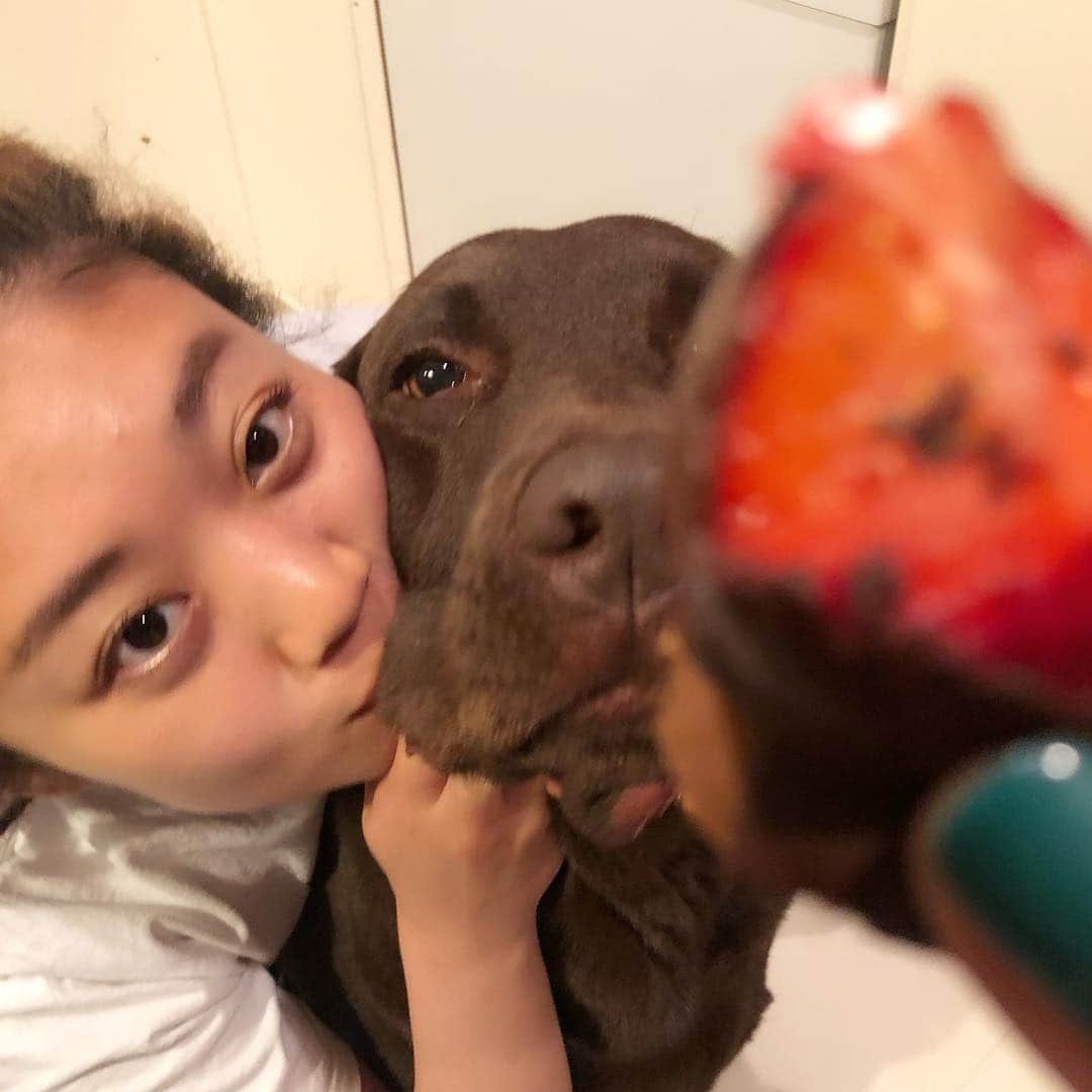 masakiさんのインスタグラム写真 - (masakiInstagram)「いちごシャンテでございます🍓て、 あー、ちみが。そういうことね🍫」4月19日 20時33分 - mogurapicassowols