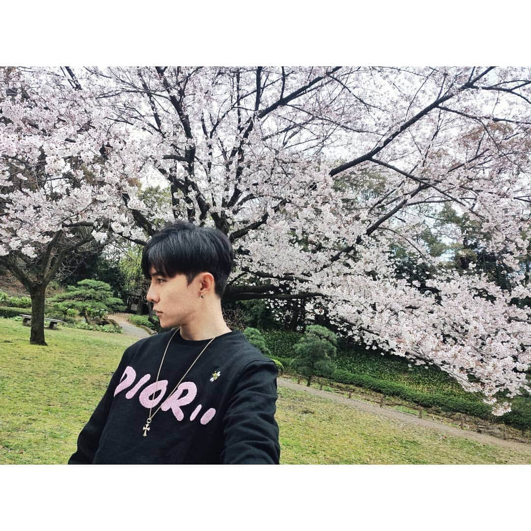 ダンソン・タンのインスタグラム：「跟我家唐少女🍶🍶🍶 #DT視角 #唐禹哲  #Tokyo #cherryblossom  #DT #HOTHEART #SEVENDAYS  #櫻花 #東京 #唐媽媽」