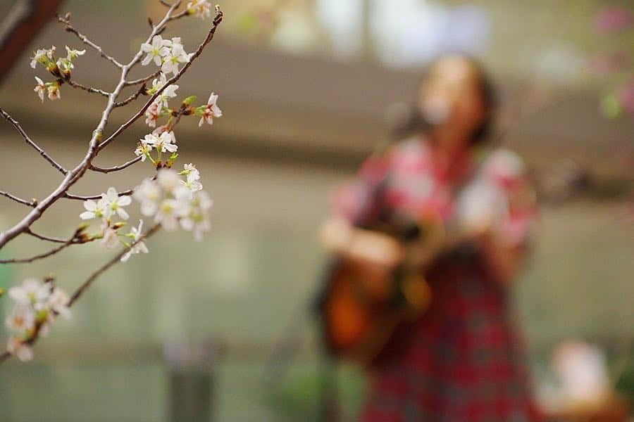 由利華さんのインスタグラム写真 - (由利華Instagram)「🌸 言葉ってめっちゃ難しいなぁ﻿ 自分の思ってることを上手に言葉にできんくて﻿ 悔しいなぁ、って思ったり🤭﻿ 言葉で伝えたとしても﻿ それがそのまま相手に伝わらずに﻿ 悪い意味で聞こえちゃったりもするし🤧﻿ 難しいなぁ🤧﻿ ﻿ 曲作る時も、﻿ どうやったらみんなに﻿ この気持ちをうまく伝えられるのか、﻿ というのを日々考えてます﻿ ﻿ まだまだ日本語勉強しなあかんわ👩🏻‍🌾﻿ ﻿ そして明日は土曜日！！﻿ 原宿駅の神宮橋あたりで﻿ 14:00~16:00を目安に﻿ 合同路上ライブします！！﻿ 是非気軽に遊びに来てくださいいい👾✨﻿ ﻿ #由利華」4月19日 20時46分 - yurippe0804