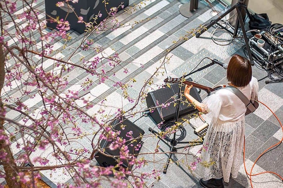 由利華さんのインスタグラム写真 - (由利華Instagram)「🌸 言葉ってめっちゃ難しいなぁ﻿ 自分の思ってることを上手に言葉にできんくて﻿ 悔しいなぁ、って思ったり🤭﻿ 言葉で伝えたとしても﻿ それがそのまま相手に伝わらずに﻿ 悪い意味で聞こえちゃったりもするし🤧﻿ 難しいなぁ🤧﻿ ﻿ 曲作る時も、﻿ どうやったらみんなに﻿ この気持ちをうまく伝えられるのか、﻿ というのを日々考えてます﻿ ﻿ まだまだ日本語勉強しなあかんわ👩🏻‍🌾﻿ ﻿ そして明日は土曜日！！﻿ 原宿駅の神宮橋あたりで﻿ 14:00~16:00を目安に﻿ 合同路上ライブします！！﻿ 是非気軽に遊びに来てくださいいい👾✨﻿ ﻿ #由利華」4月19日 20時46分 - yurippe0804