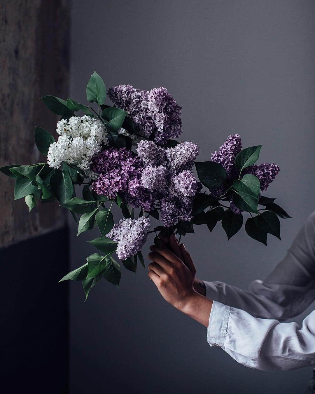 Our Food Storiesさんのインスタグラム写真 - (Our Food StoriesInstagram)「Can‘t wait to see the lilacs in bloom again and make some lilac syrup 🌸😋💞 Hope you guys have a lovely easter holiday! #ourfoodstories_countryside  ____ #lilacs #lilac #lilacseason #lilacsyrup #blütenzauber #diewocheaufinstagram #theweekoninstagram #flowerlovers #bloooms #bouquetinspo #gardeninspo #springmood #simplejoys #fellowmag」4月19日 20時47分 - _foodstories_