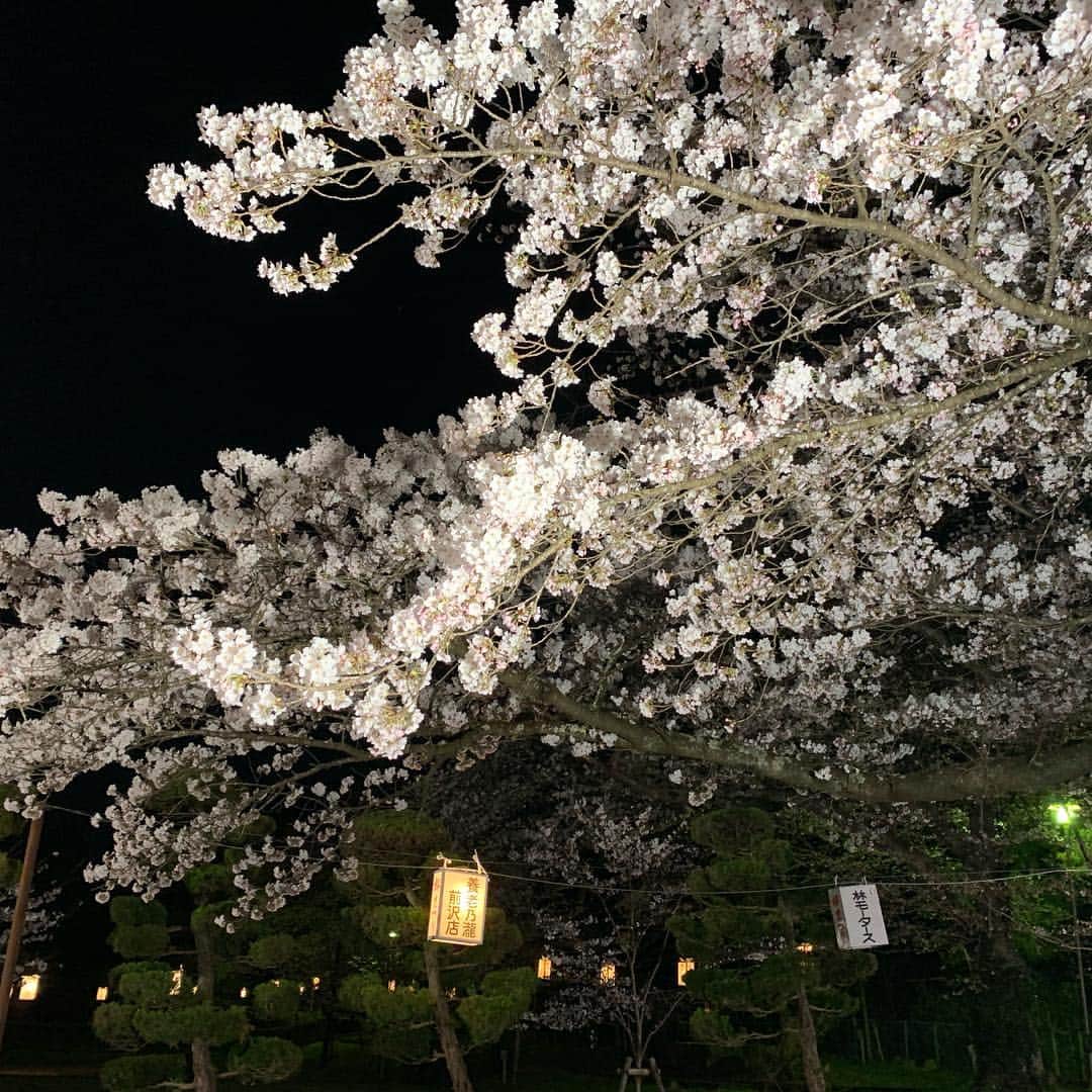 大隅智子さんのインスタグラム写真 - (大隅智子Instagram)「奥州市前沢のお物見公園から満開の桜を中継で紹介しました。 #奥州市前沢 #お物見公園 #岩手 #満開」4月19日 20時54分 - tomokotenki
