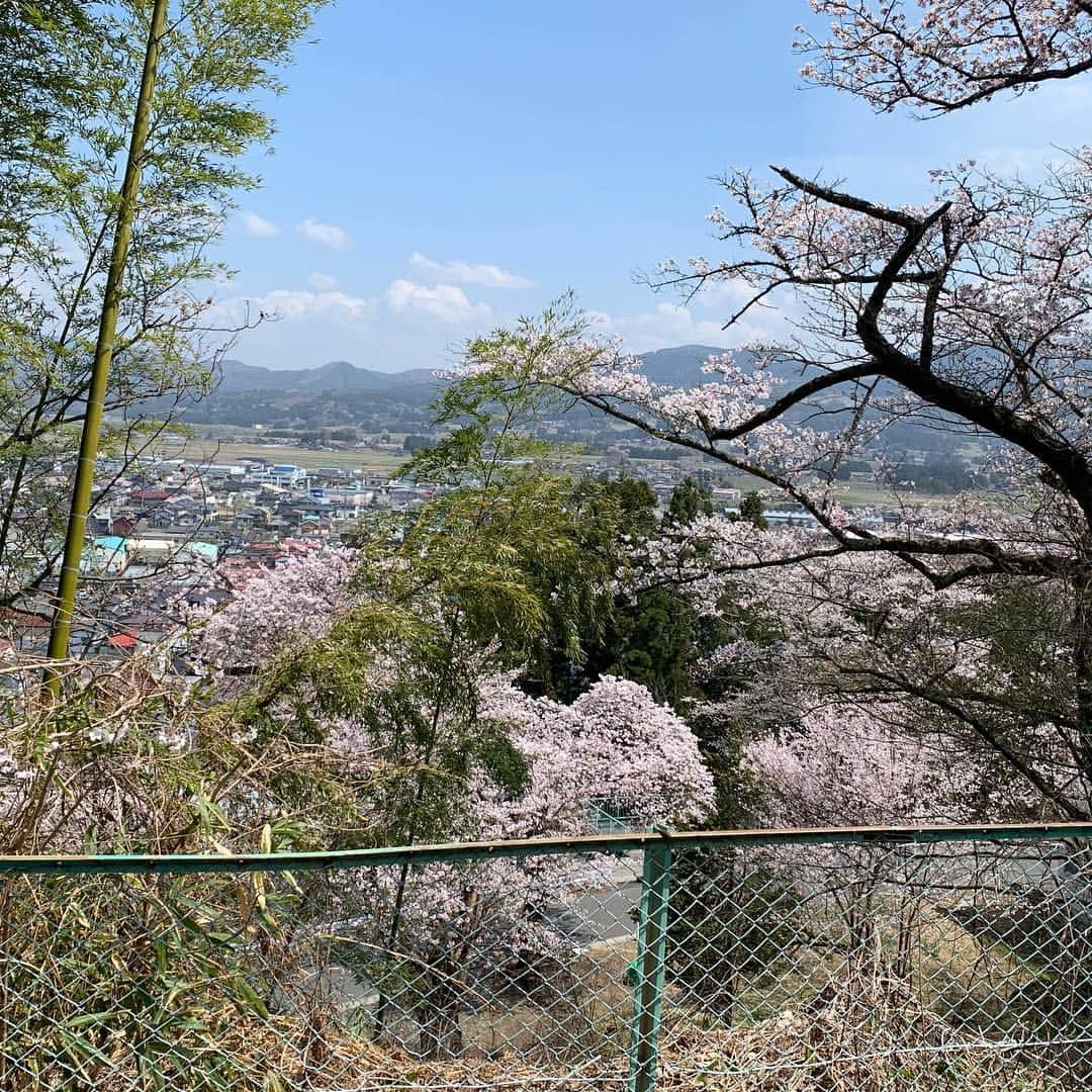 大隅智子さんのインスタグラム写真 - (大隅智子Instagram)「奥州市前沢のお物見公園から満開の桜を中継で紹介しました。 #奥州市前沢 #お物見公園 #岩手 #満開」4月19日 20時54分 - tomokotenki