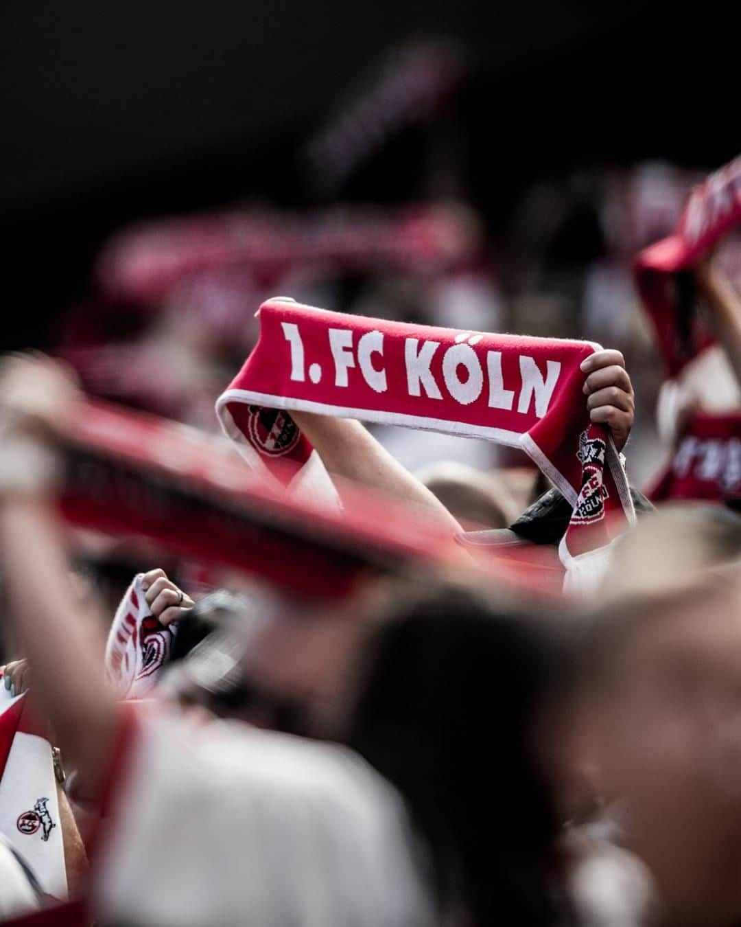 1.FCケルンさんのインスタグラム写真 - (1.FCケルンInstagram)「3.000 #effzeh-Fans begleiten die Mannschaft zum Auswärtsspiel nach Dresden. ❤⚪ ___ #SGDKOE #Kölle #Köllefornia #Köln」4月19日 21時00分 - fckoeln