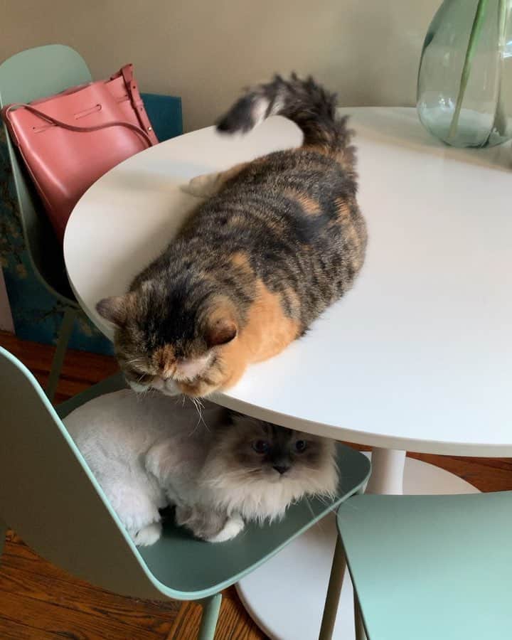 Tinaのインスタグラム：「Um yea this is still happening 🤦🏻‍♀️ 😅Happy Friday!」